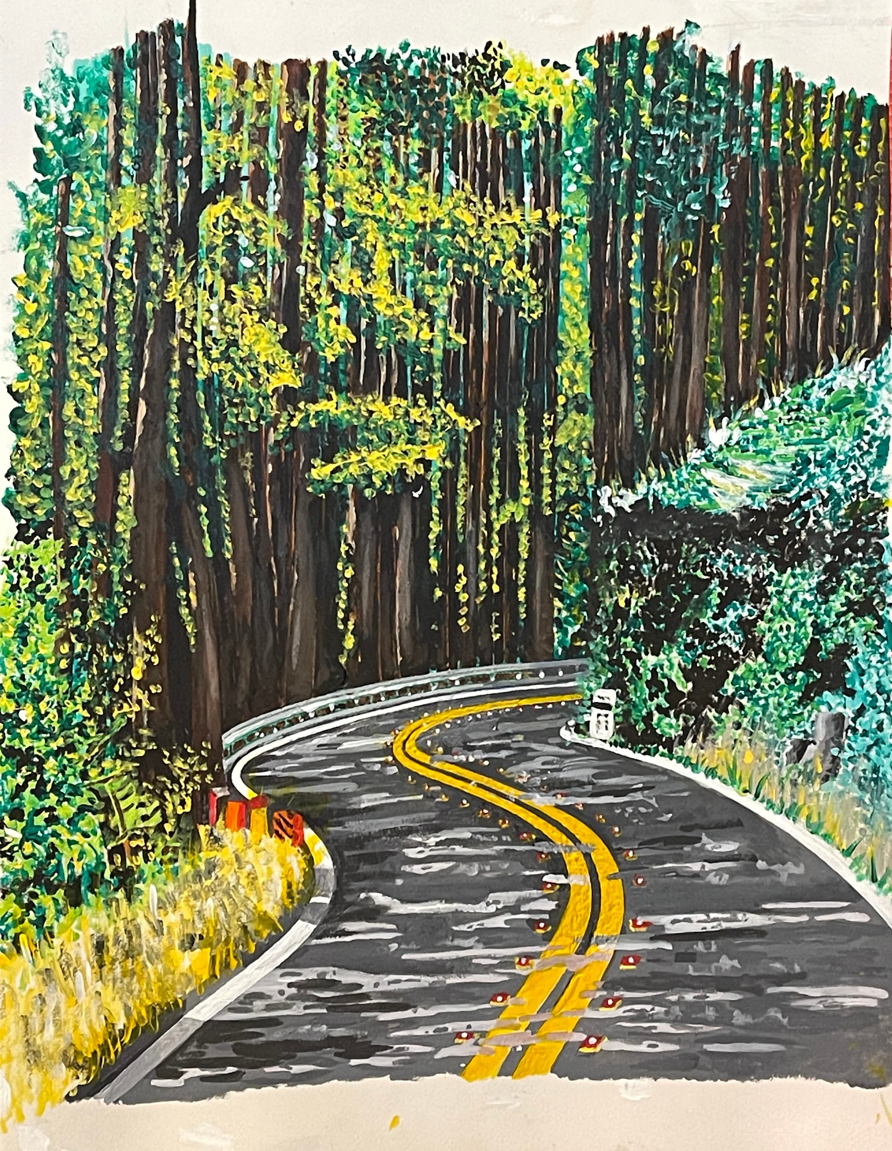 Redwoods Road to Stinson